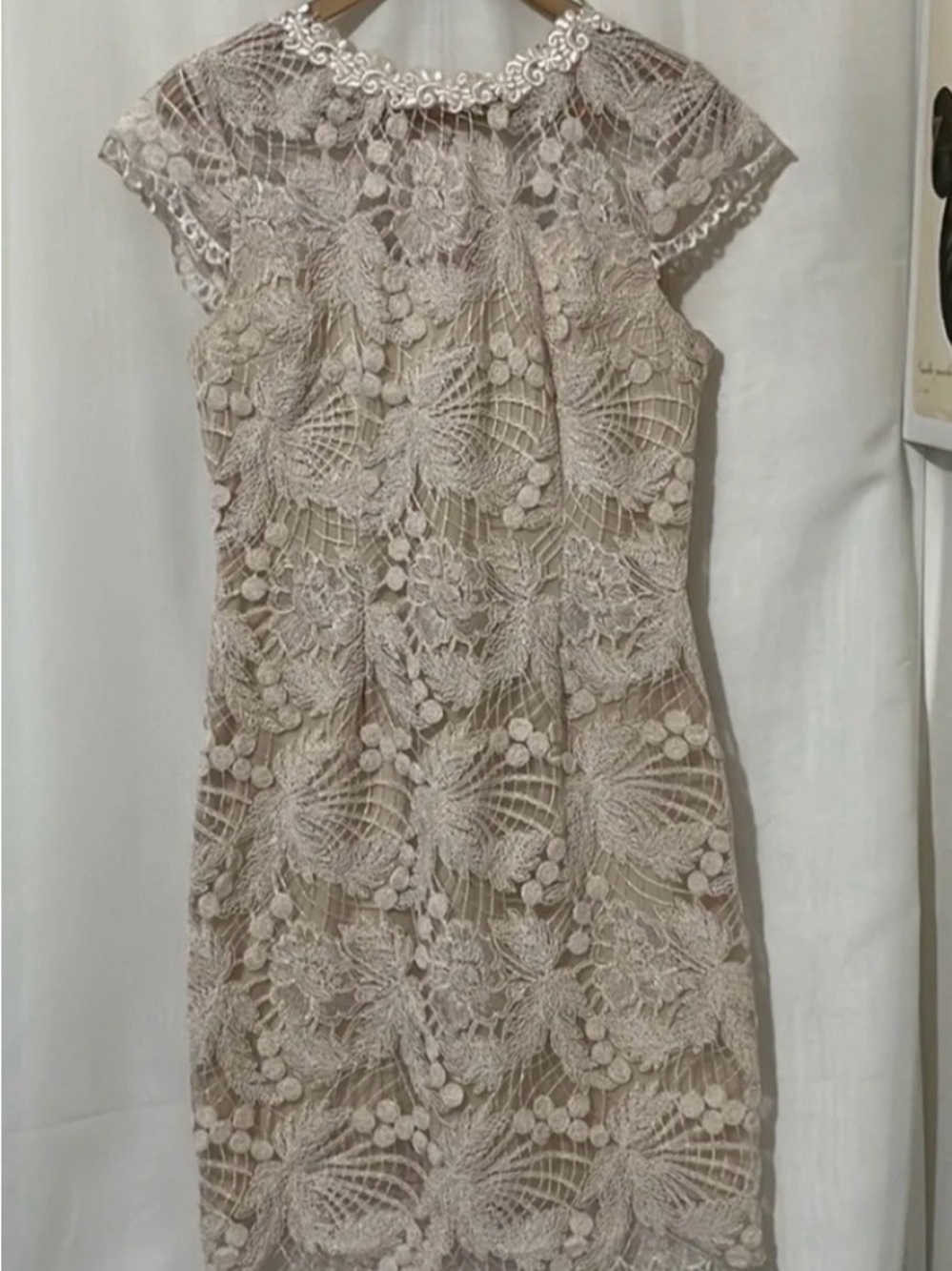 Soieblu Embroidered Lace Sheath Dress in Blush Taupe a175
